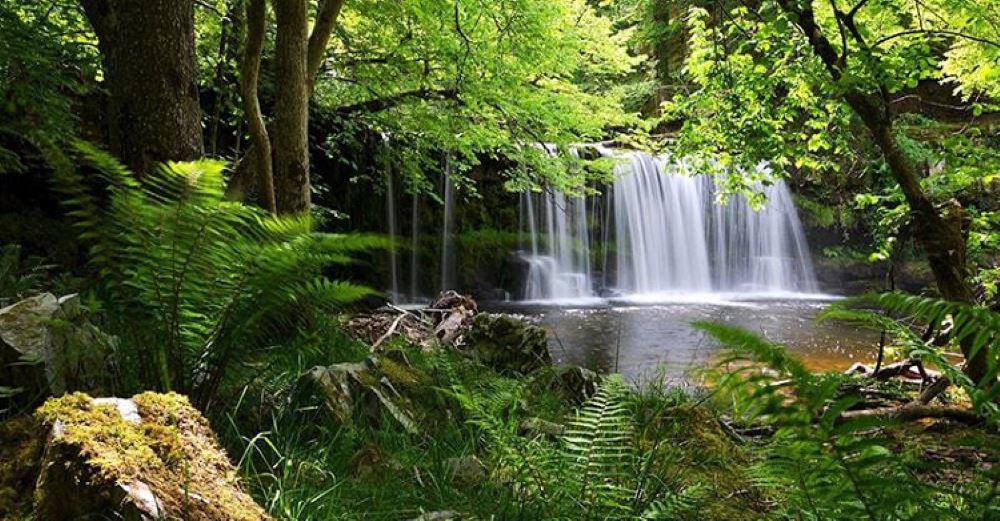 Suối Tranh Phú Quốc